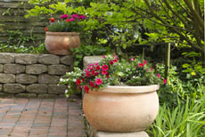 Fayetteville Property Management Fayetteville Property management